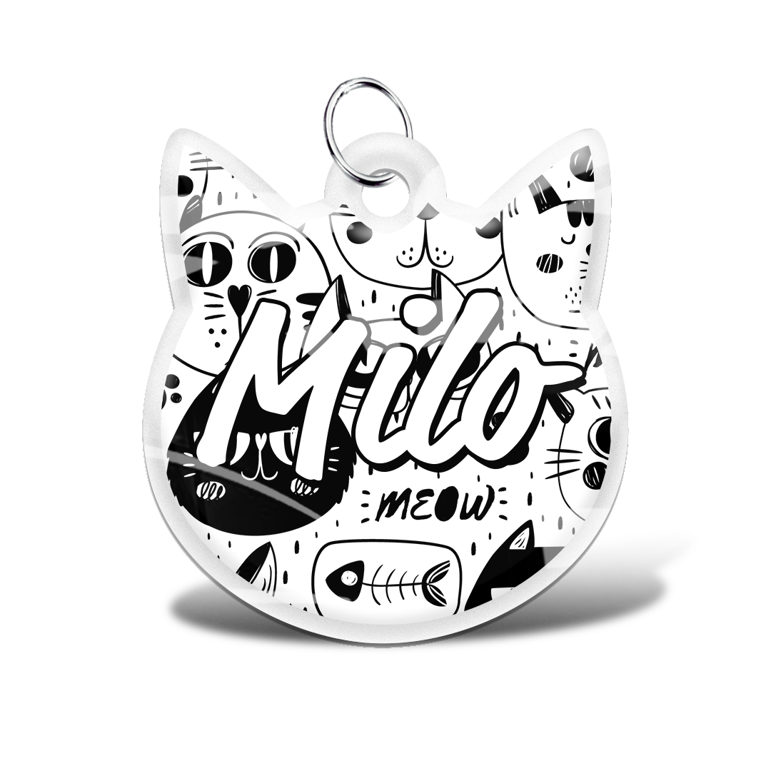 Gato 01